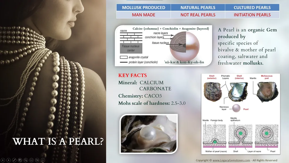 Educational graphic explaining what a pearl is, showing a woman with pearls, diagrams of pearl formation, and various types of pearls with key facts.